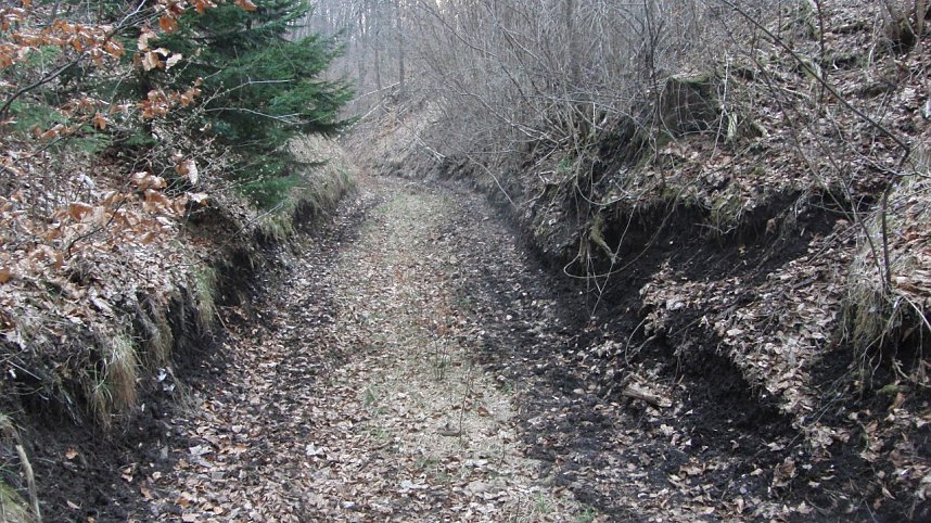 Bulldozer im Alten Stolberg