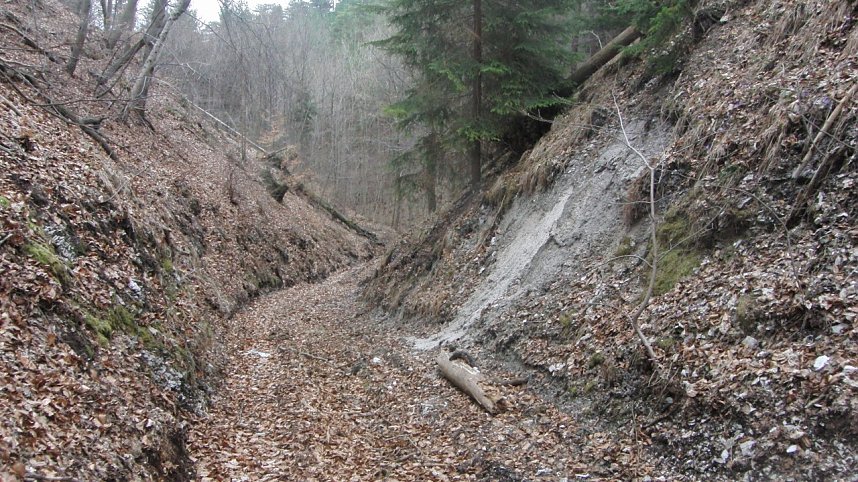Bulldozer im Alten Stolberg