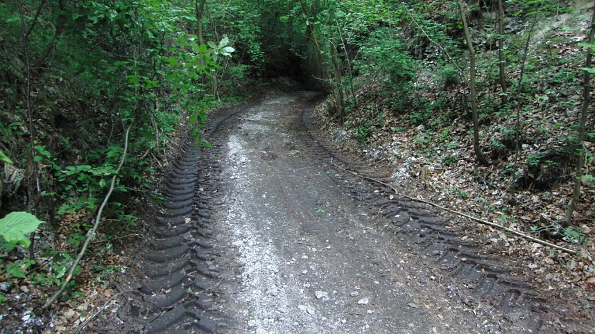 Bulldozer im Alten Stolberg