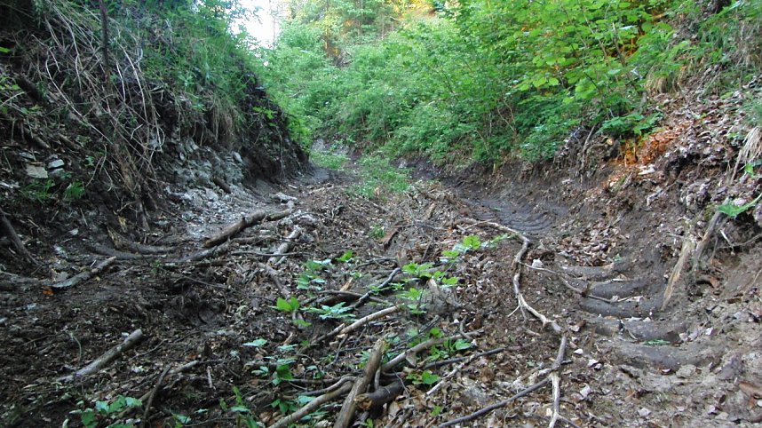 Bulldozer im Alten Stolberg