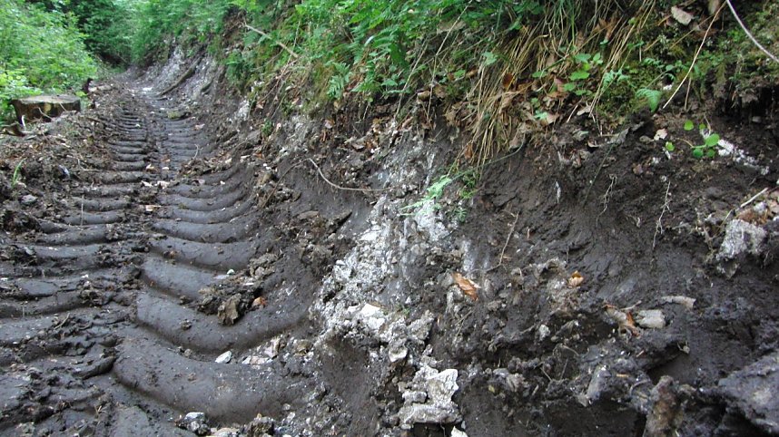 Bulldozer im Alten Stolberg