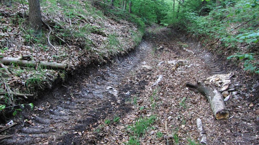 Bulldozer im Alten Stolberg