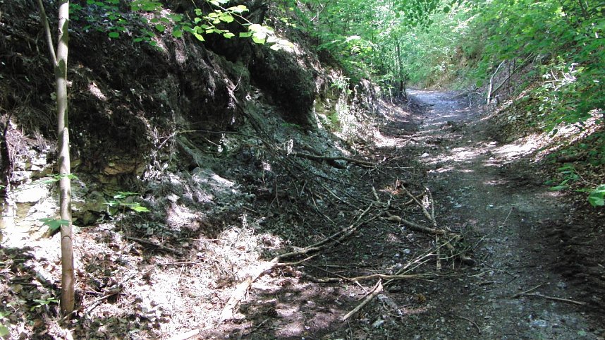 Bulldozer im Alten Stolberg