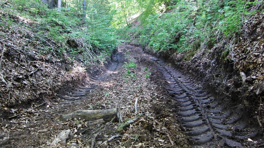 Bulldozer im Alten Stolberg
