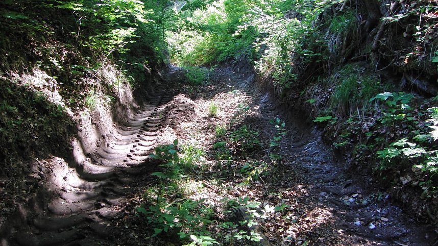 Bulldozer im Alten Stolberg