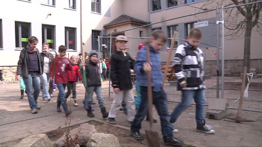 Laubb&auml;ume gepflanzt