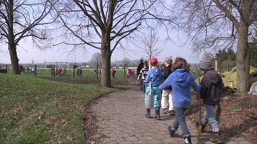 Laubb&auml;ume gepflanzt