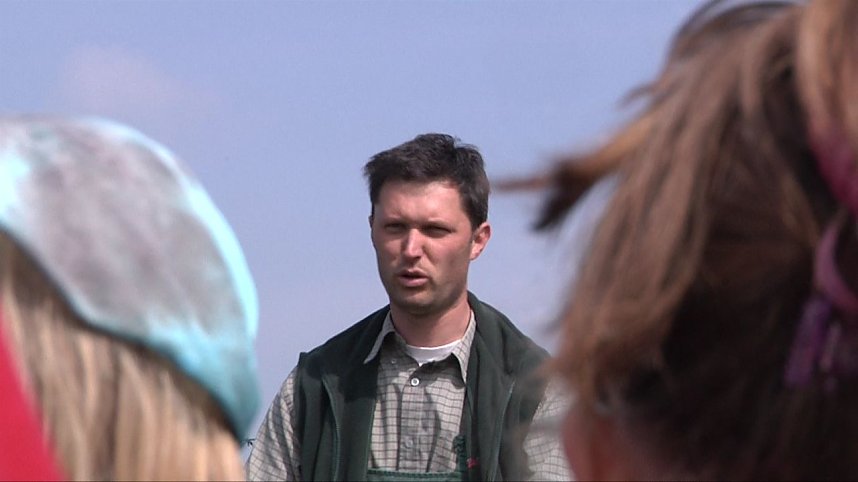 Laubb&auml;ume gepflanzt