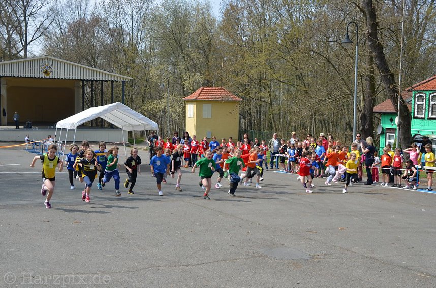 Crosslauf im Gehege