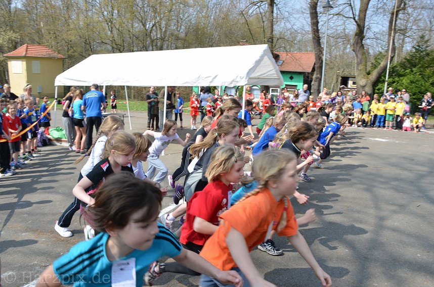 Crosslauf im Gehege