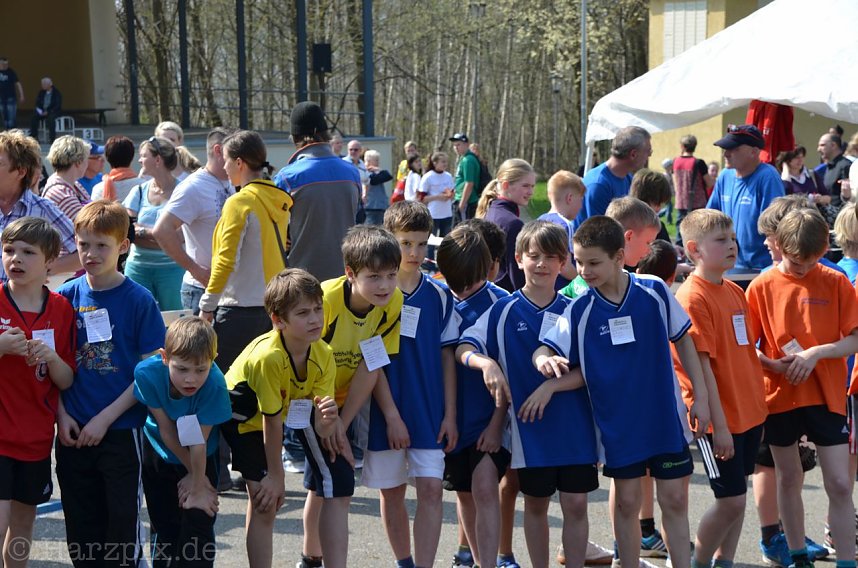 Crosslauf im Gehege