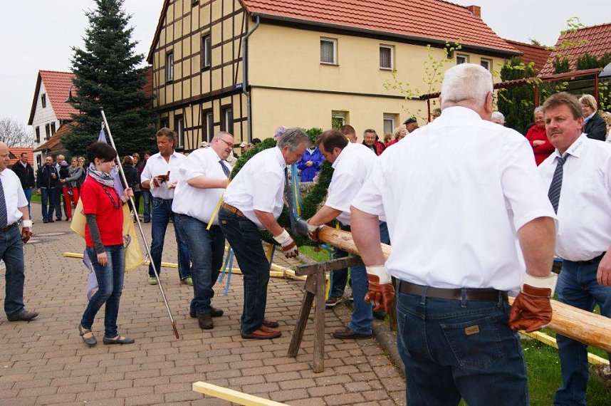 Maibaum in Obergebra gesetzt