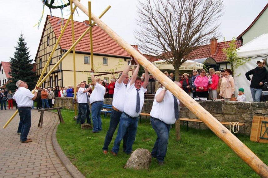 Maibaum in Obergebra gesetzt