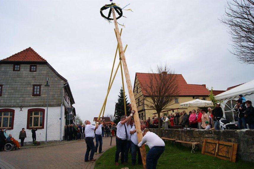 Maibaum in Obergebra gesetzt