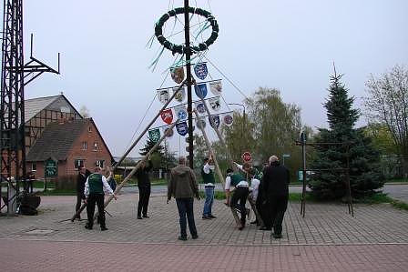 Maibaum in Bielen aufgestellt