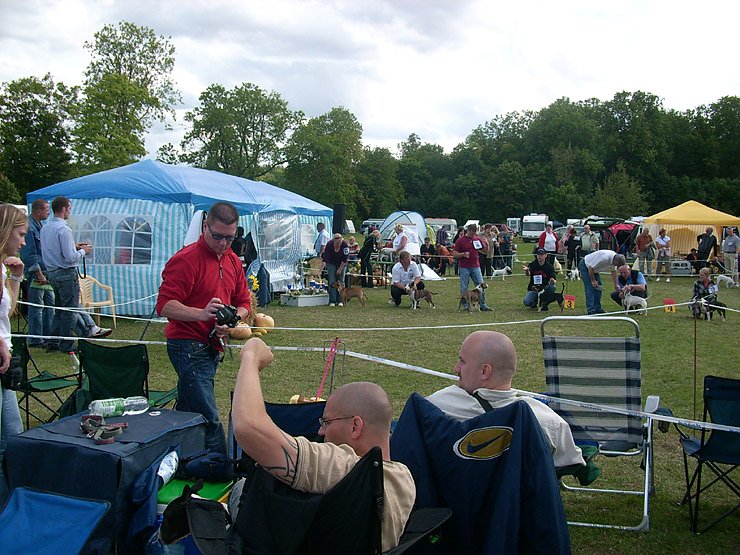 Spezialzuchtschau Hunde auf dem Possen