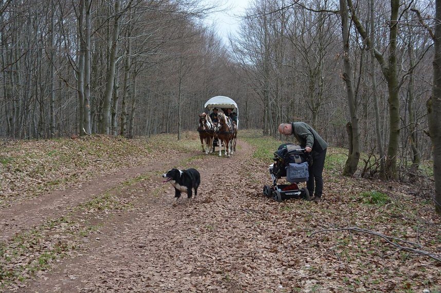 Durch's Steinm&uuml;hlental