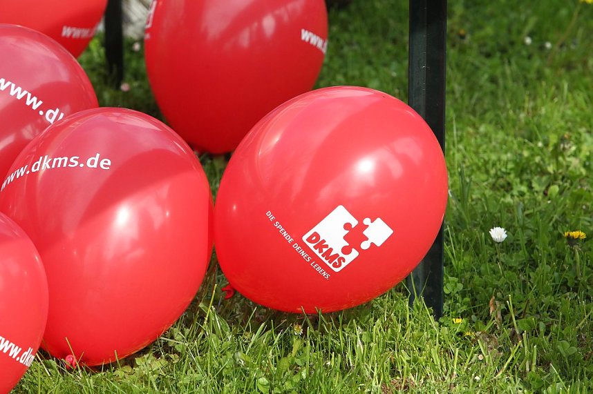 Gro&szlig;e Resonanz: Ralph soll leben