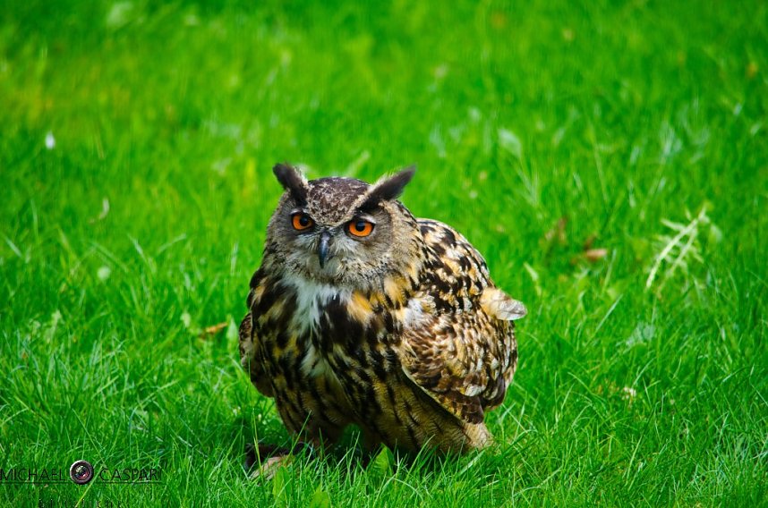 Mittelalter in Stolberg