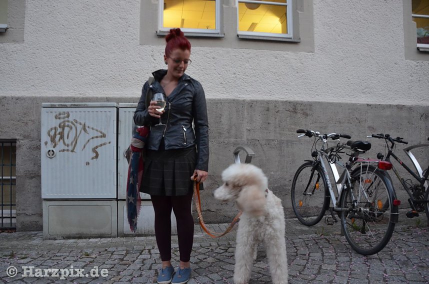 1. Nordh&auml;user Weinfest