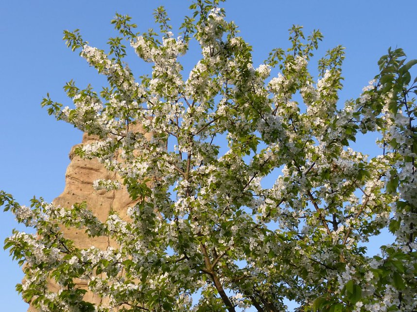 Sonntagmorgen auf dem Petersberg