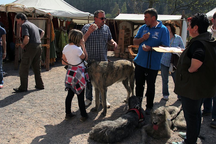 Ritterfest in Stolberg