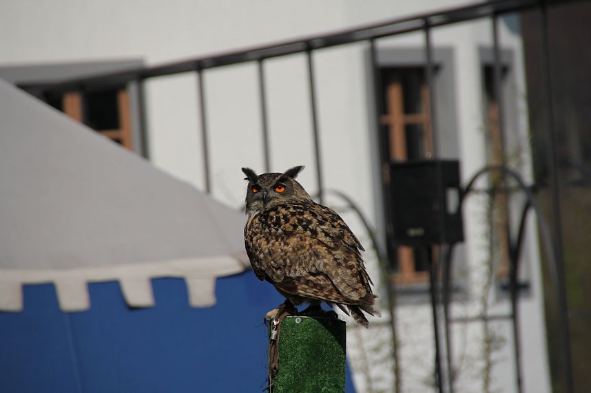 Ritterfest in Stolberg