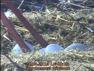 Jetzt sind es f&uuml;nf