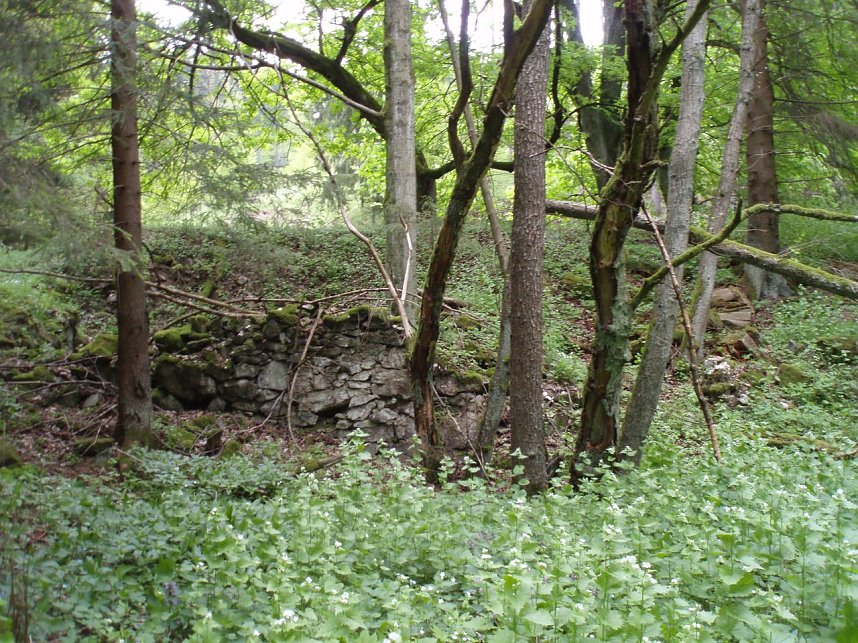  Fundamentreste des M&uuml;hlenhauptgeb&auml;udes aus Bruchsteinen (Grauwacken)