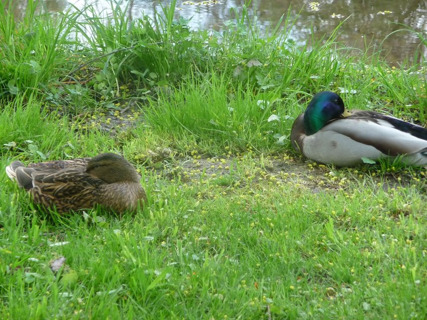 Unterwegs zum Vatertag