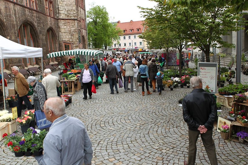 Zwischen Blumen und Fisch