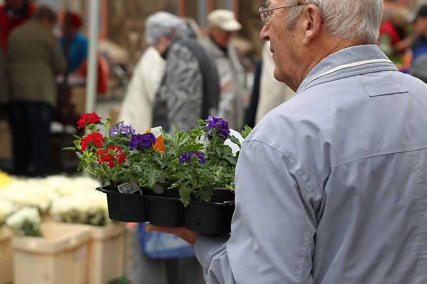 Zwischen Blumen und Fisch