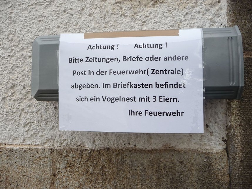 Nest in der R&ouml;hre