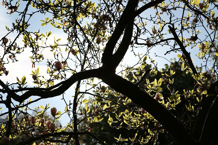 Arbeitseinsatz im Park Hohenrode