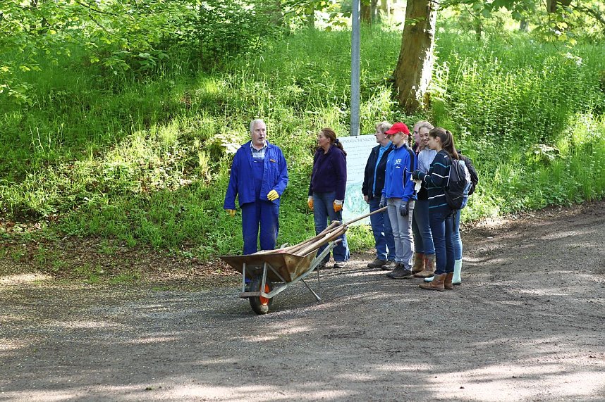 Arbeitseinsatz im Park Hohenrode