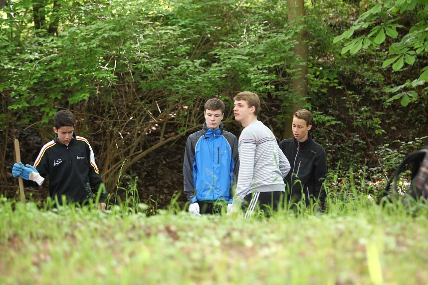 Arbeitseinsatz im Park Hohenrode