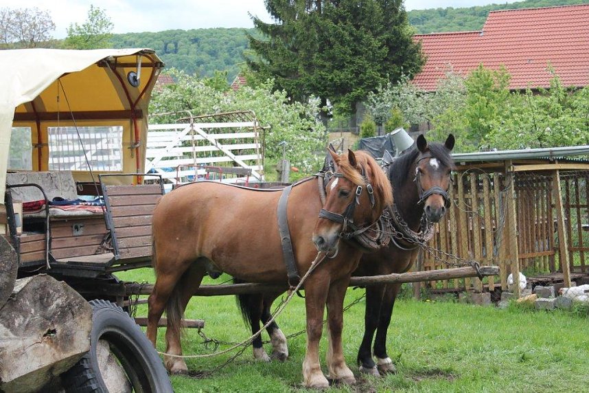 M&uuml;hlentag in Obergebra