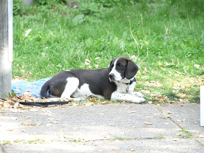Spa&szlig; beim Kaufen und Verkaufen. Familientr&ouml;delmarkt in Nordhausen