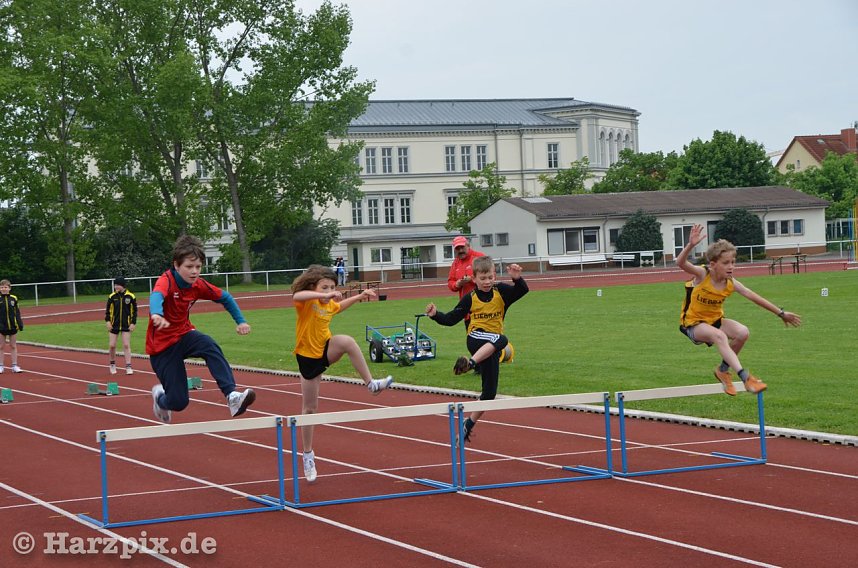 Kreisjugendspiele Leichtathletik