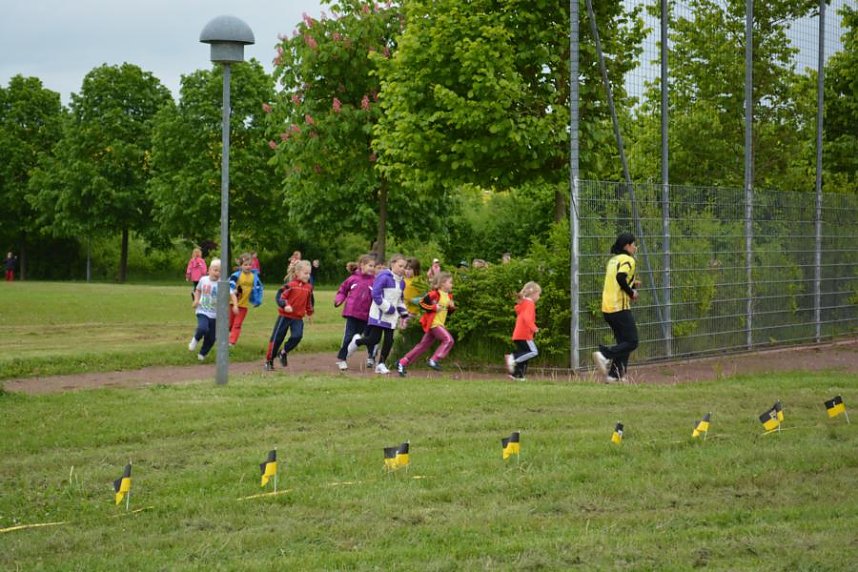 Sportfest der Kleinsten des LV Altstadt