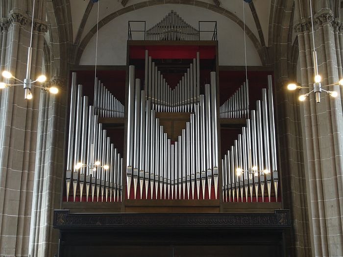 Viel Neugierde f&uuml;r Historie