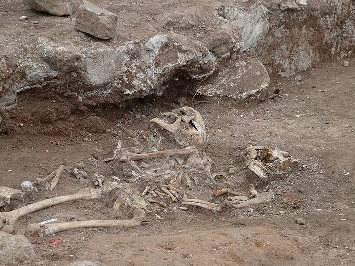 Viel Neugierde f&uuml;r Historie