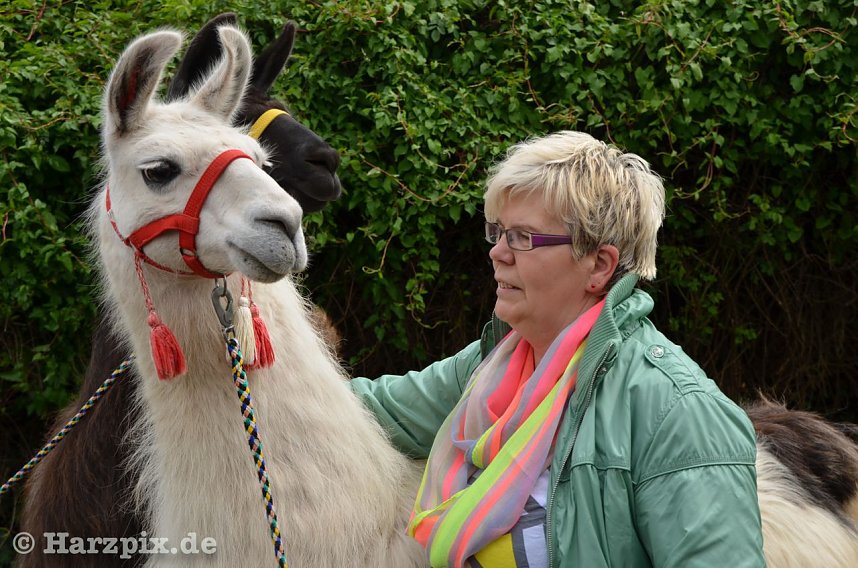 Kinderfest bei Gottert