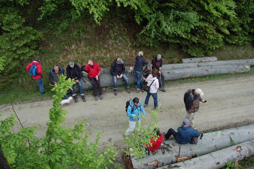 Die Nordh&auml;user Doppelk&ouml;rner im Helbetal