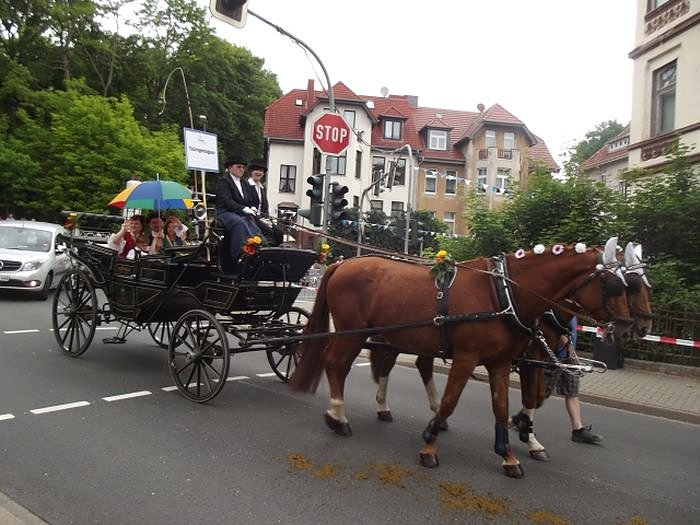Weitere Bilder Festumzug (1)