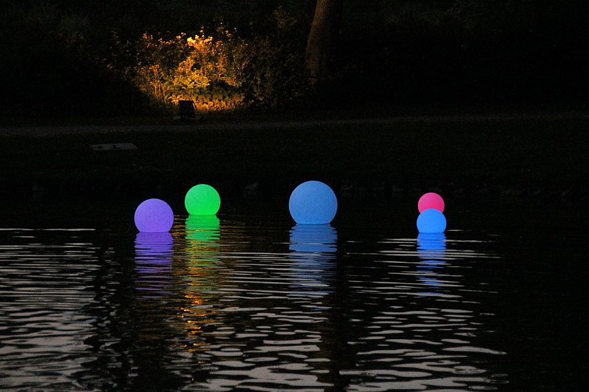 Th&uuml;ringentag 2013 in Sondershausen