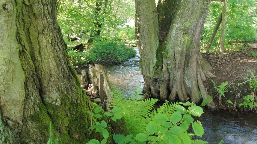 Unzerst&ouml;rbares Steinm&uuml;hlental