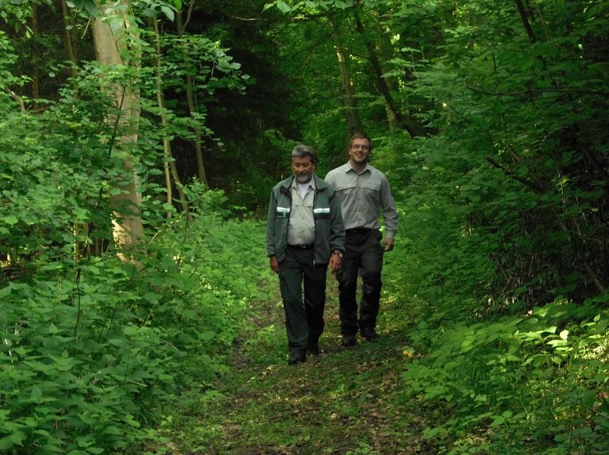Den Wald kennengelernt