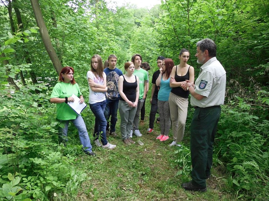 Den Wald kennengelernt