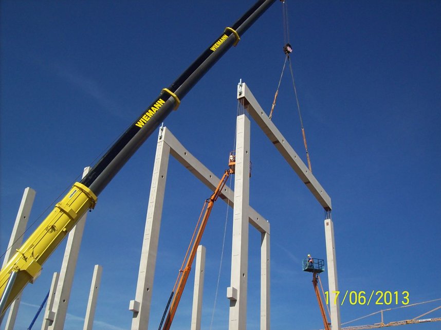 Das Skelett w&auml;chst